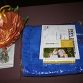 DEFI2011 004